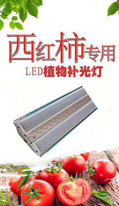 伟照业大功率植物补光灯200W 大棚补光灯
